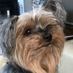 Meet your Posher, Joella